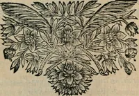 An illustration from Les Oeuvres de monsieur Sarasin (1663)