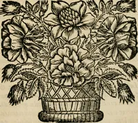 An illustration from Les oeuvres de Monsieur de Cyrano Bergerac (1676)