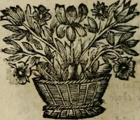 An illustration from Les Oeuvres de Mr Sarasin (1694)
