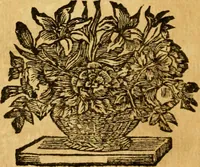 An illustration from Les oeuvres d'Ovide (1697)