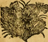 An illustration from Les oeuvres d'Ovide (1697)