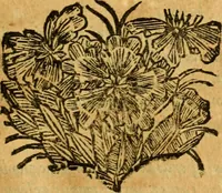An illustration from Les oeuvres d'Ovide (1697)