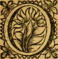An illustration from Les oeuvres d'Ovide (1697)