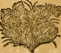 An illustration from Les oeuvres d'Ovide (1697)