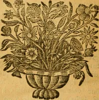 An illustration from Les oeuvres d'Ovide (1697)