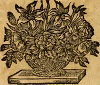 An illustration from Les oeuvres d'Ovide (1697)