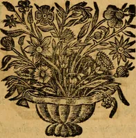 An illustration from Les oeuvres d'Ovide (1697)