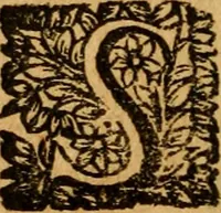An illustration from Les oeuvres d'Ovide (1697)