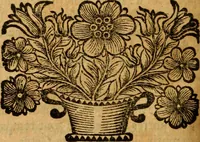 An illustration from Les oeuvres d'Ovide (1697)