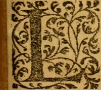 Picture 90 of 103 from Les oeuvres d'Ovide (1697), leaf 428