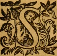 An illustration from Les oeuvres d'Ovide (1697)
