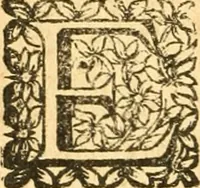 An illustration from Les oeuvres d'Ovide (1697)
