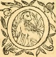 An illustration from Les oeuvres d'Ovide (1697)