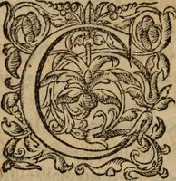 An illustration from Les Oeuvres morales et meslees (1574)