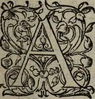 An illustration from Les Oeuvres morales et meslees (1574)