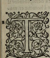 An illustration from Les Oeuvres morales et meslees (1574)