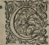 An illustration from Les Oeuvres morales et meslees (1574)