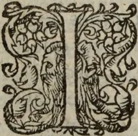 An illustration from Les Oeuvres morales et meslees (1574)