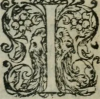 An illustration from Les Oeuvres morales et meslees (1574)