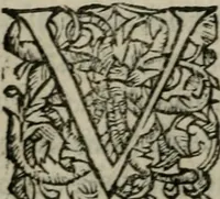 An illustration from Les Oeuvres morales et meslees (1574)