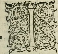 Picture 6 of 9 from Les Oeuvres morales et meslees (1574), leaf 256