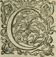 Picture 3 of 9 from Les Oeuvres morales et meslees (1574), leaf 8