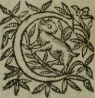 An illustration from Les oevvres (1620)