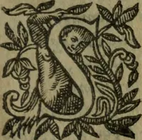An illustration from Les oevvres (1620)