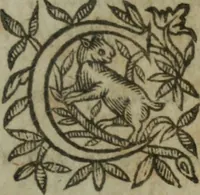 An illustration from Les oevvres (1620)