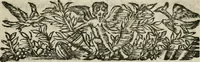 Picture 5 of 48 from Les oevvres de M. Iean Belot ... Contenant la chiromence physionomie, l'art de memoire de Raymond Lulle; traicté des diuinations, augures & songes; les sciences steganographiques, paulines, armadelles & lullistes; l'art de doctement prescher & haranguer, &c (1662), leaf 22