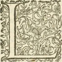 An illustration from Le soleil au signe du Lyon : d'ou quelques paralleles sont tirez avec le tres-chrestien, tres-iuste, & tres-victorieux monarque Louys XIII. roy de France & de Nauarre, en son entree triomphante dans sa ville de Lyon : ensemble un sommaire recit de tout ce qui s'est passé de remarquable en ladite entree de sa majesté, & de la plus illustre princesse de la terre, Anne d'Austriche, royne de France & de Nauarre, dans ladite ville de Lyon le 11. Decembre 1622 (1623)