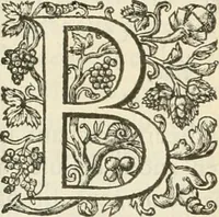 An illustration from Le soleil au signe du Lyon : d'ou quelques paralleles sont tirez avec le tres-chrestien, tres-iuste, & tres-victorieux monarque Louys XIII. roy de France & de Nauarre, en son entree triomphante dans sa ville de Lyon : ensemble un sommaire recit de tout ce qui s'est passé de remarquable en ladite entree de sa majesté, & de la plus illustre princesse de la terre, Anne d'Austriche, royne de France & de Nauarre, dans ladite ville de Lyon le 11. Decembre 1622 (1623)