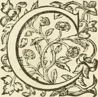 An illustration from Le soleil au signe du Lyon : d'ou quelques paralleles sont tirez avec le tres-chrestien, tres-iuste, & tres-victorieux monarque Louys XIII. roy de France & de Nauarre, en son entree triomphante dans sa ville de Lyon : ensemble un sommaire recit de tout ce qui s'est passé de remarquable en ladite entree de sa majesté, & de la plus illustre princesse de la terre, Anne d'Austriche, royne de France & de Nauarre, dans ladite ville de Lyon le 11. Decembre 1622 (1623)