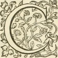An illustration from Le soleil au signe du Lyon : d'ou quelques paralleles sont tirez avec le tres-chrestien, tres-iuste, & tres-victorieux monarque Louys XIII. roy de France & de Nauarre, en son entree triomphante dans sa ville de Lyon : ensemble un sommaire recit de tout ce qui s'est passé de remarquable en ladite entree de sa majesté, & de la plus illustre princesse de la terre, Anne d'Austriche, royne de France & de Nauarre, dans ladite ville de Lyon le 11. Decembre 1622 (1623)