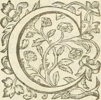 An illustration from Le soleil au signe du Lyon : d'ou quelques paralleles sont tirez avec le tres-chrestien, tres-iuste, & tres-victorieux monarque Louys XIII. roy de France & de Nauarre, en son entree triomphante dans sa ville de Lyon : ensemble un sommaire recit de tout ce qui s'est passé de remarquable en ladite entree de sa majesté, & de la plus illustre princesse de la terre, Anne d'Austriche, royne de France & de Nauarre, dans ladite ville de Lyon le 11. Decembre 1622 (1623)