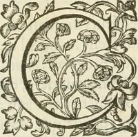 An illustration from Le soleil au signe du Lyon : d'ou quelques paralleles sont tirez avec le tres-chrestien, tres-iuste, & tres-victorieux monarque Louys XIII. roy de France & de Nauarre, en son entree triomphante dans sa ville de Lyon : ensemble un sommaire recit de tout ce qui s'est passé de remarquable en ladite entree de sa majesté, & de la plus illustre princesse de la terre, Anne d'Austriche, royne de France & de Nauarre, dans ladite ville de Lyon le 11. Decembre 1622 (1623)