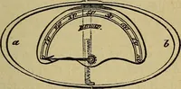 An illustration from Le somnambulisme provoqué : études physiologiques et psychologiques (1886)