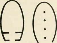 An illustration from Les origines de l'édifice hypostyle en Grèce, en Orient et chez les romains (1913)