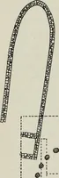 An illustration from Les origines de l'édifice hypostyle en Grèce, en Orient et chez les romains (1913)
