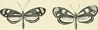 Picture 23 of 91 from Les origines : questions d'apologétique (1890), leaf 115