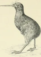 Picture 25 of 91 from Les origines : questions d'apologétique (1890), leaf 123