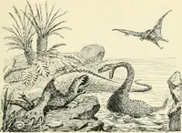 Picture 26 of 91 from Les origines : questions d'apologétique (1890), leaf 126