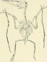 An illustration from Les origines : questions d'apologétique (1890)