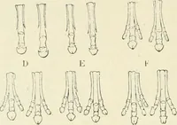 Picture 28 of 91 from Les origines : questions d'apologétique (1890), leaf 129