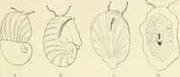 An illustration from Les origines : questions d'apologétique (1890)