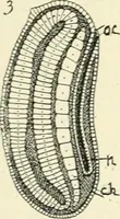 Picture 31 of 91 from Les origines : questions d'apologétique (1890), leaf 134