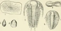 Picture 40 of 91 from Les origines : questions d'apologétique (1890), leaf 177
