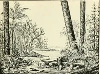 Picture 4 of 91 from Les origines : questions d'apologétique (1890), leaf 22
