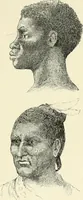 An illustration from Les origines : questions d'apologétique (1890)