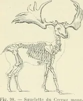 An illustration from Les origines : questions d'apologétique (1890)